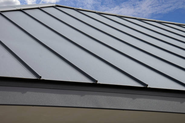 Best Commercial Roofing Services  in Third Lake, IL